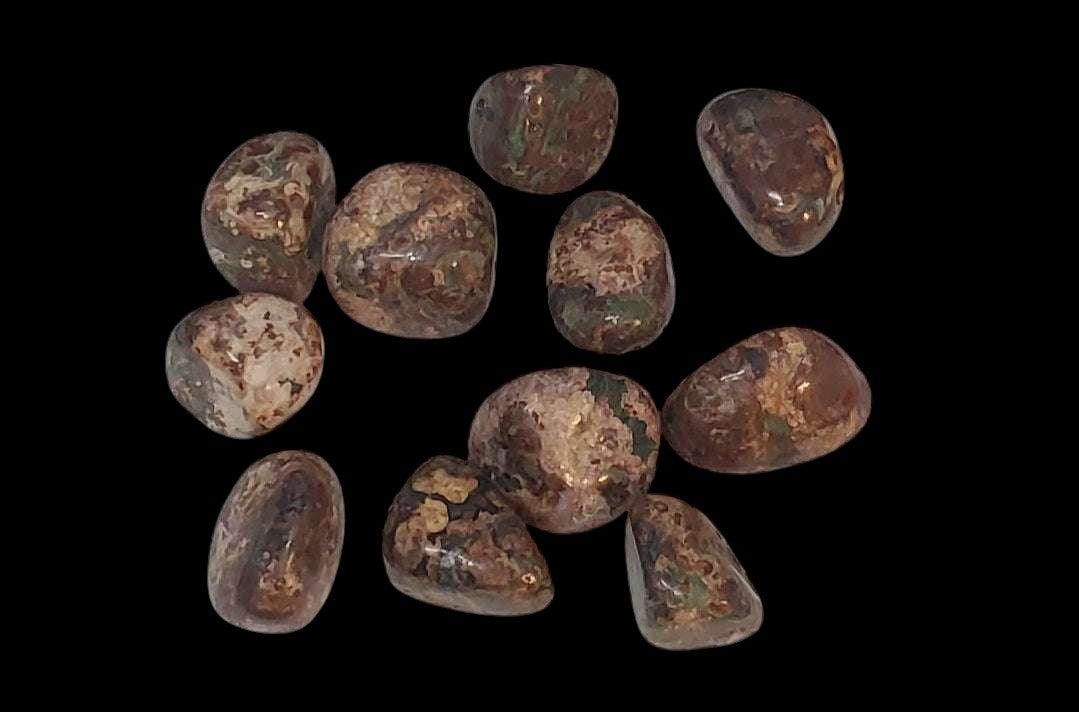 Green Leopardskin Jasper Tumbled Pocket Stone