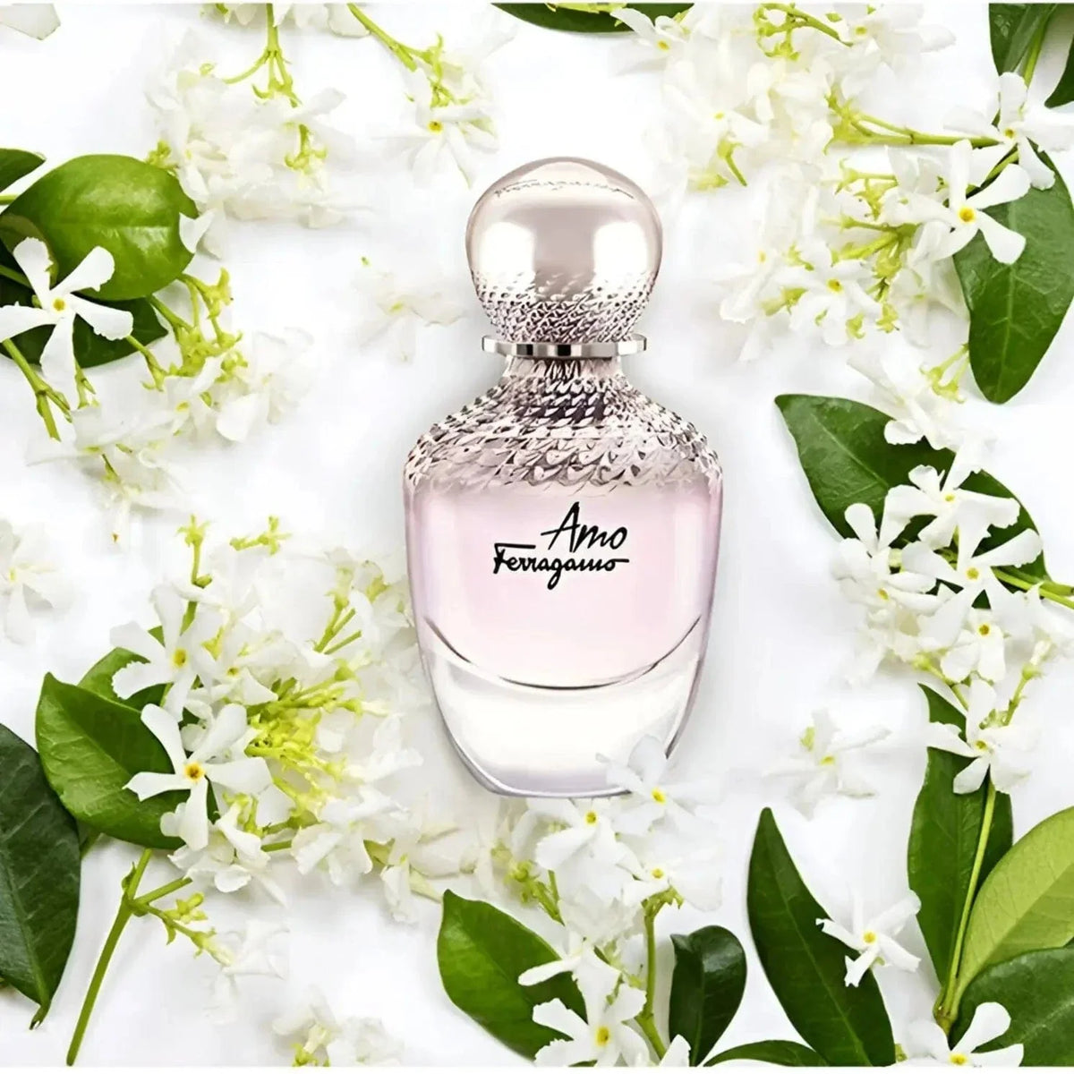 Amo Ferragamo By Salvatore Ferragamo For women 3.4oz EDP Spray by perfumesandrea
