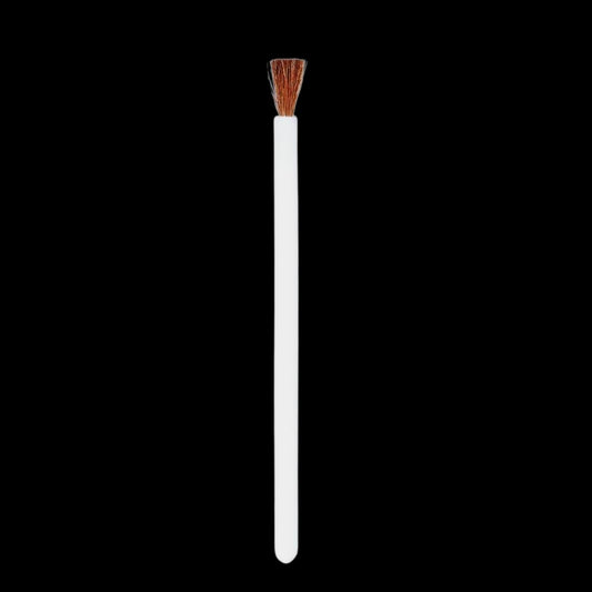 FantaSea Disposable Lip Brushes by Beauty Supply 123 Outlet