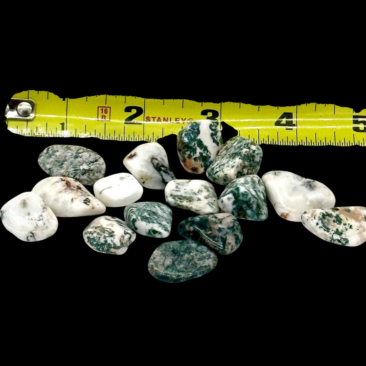 Tree Agate Tumbled Stone