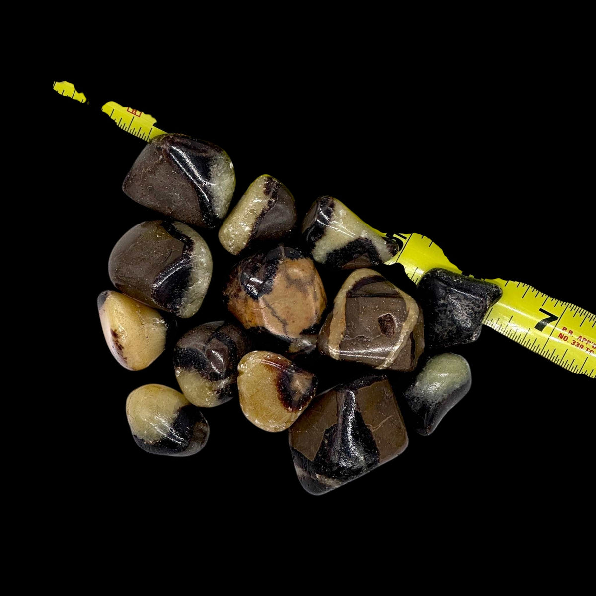 Septarian Tumbled Pocket Stone: The Dragon Stone