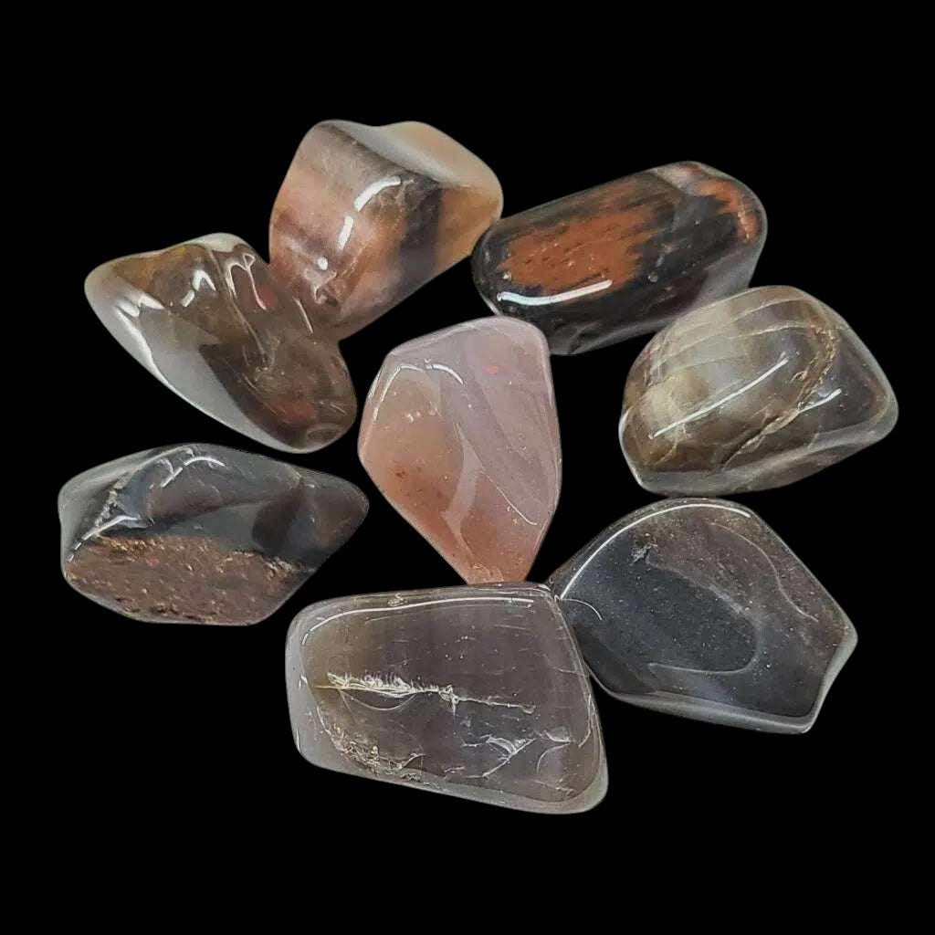 Petrified Wood Tumbled Stone