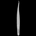STALEKS PRO EXPERT 41 TYPE 3 EYELASH TWEEZERS CURVED TE-41/3 - STALEKS™ by kvadrat store