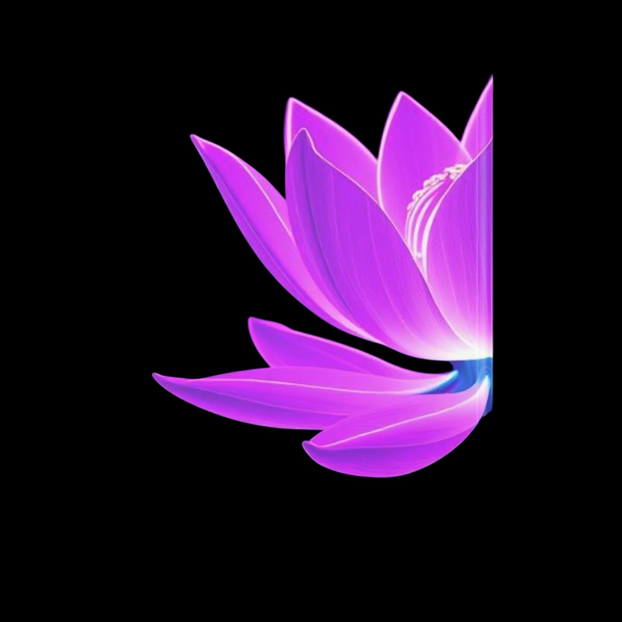 Royal Aura: Lotus Flower Hardcover Notebook with Puffy Covers by Printify