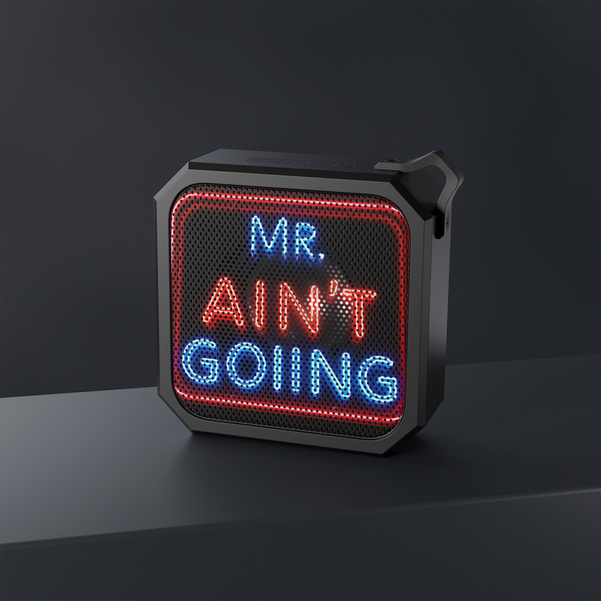Mr. Ain't Going Outdoor Bluetooth Speaker