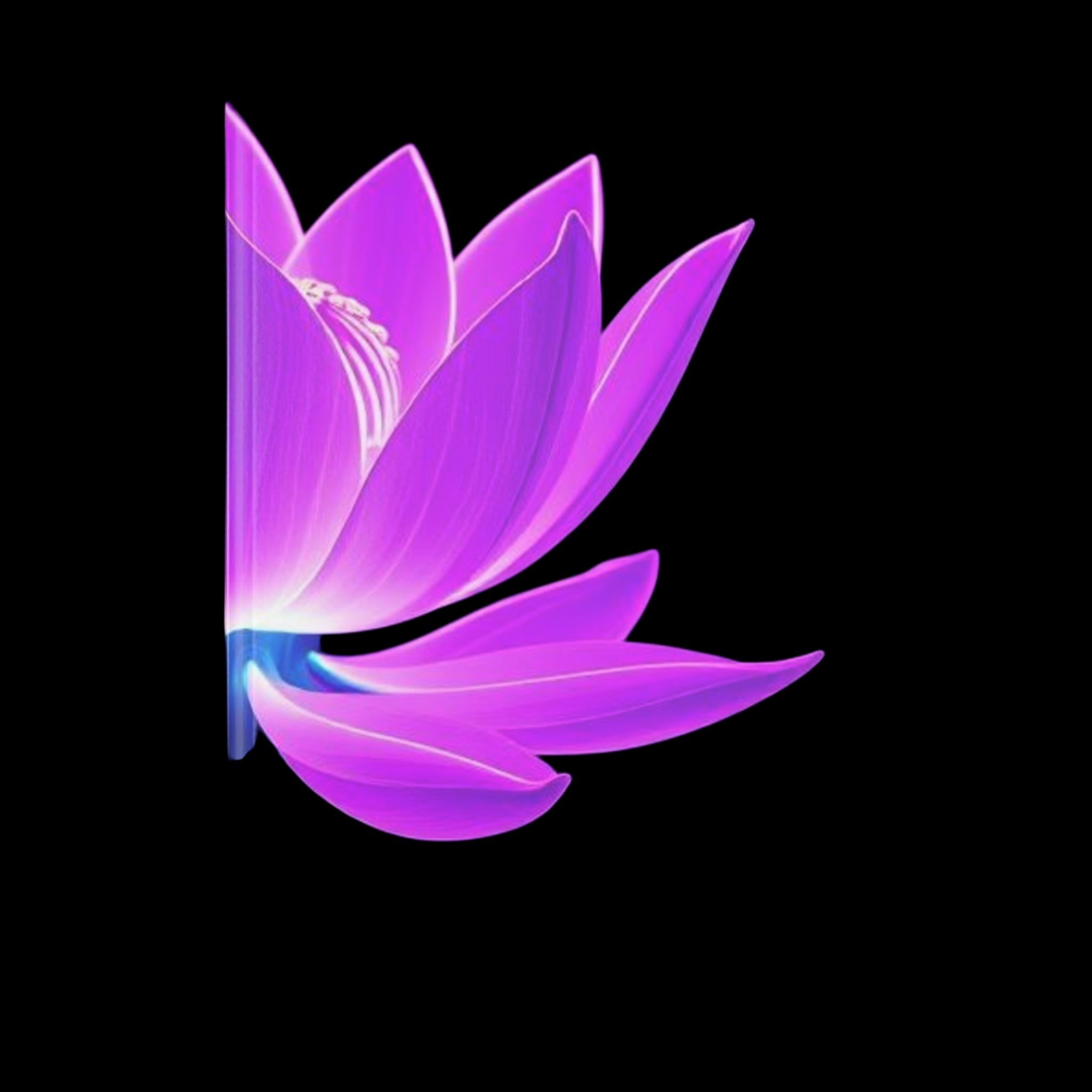 Royal Aura: Lotus Flower Hardcover Notebook with Puffy Covers by Printify