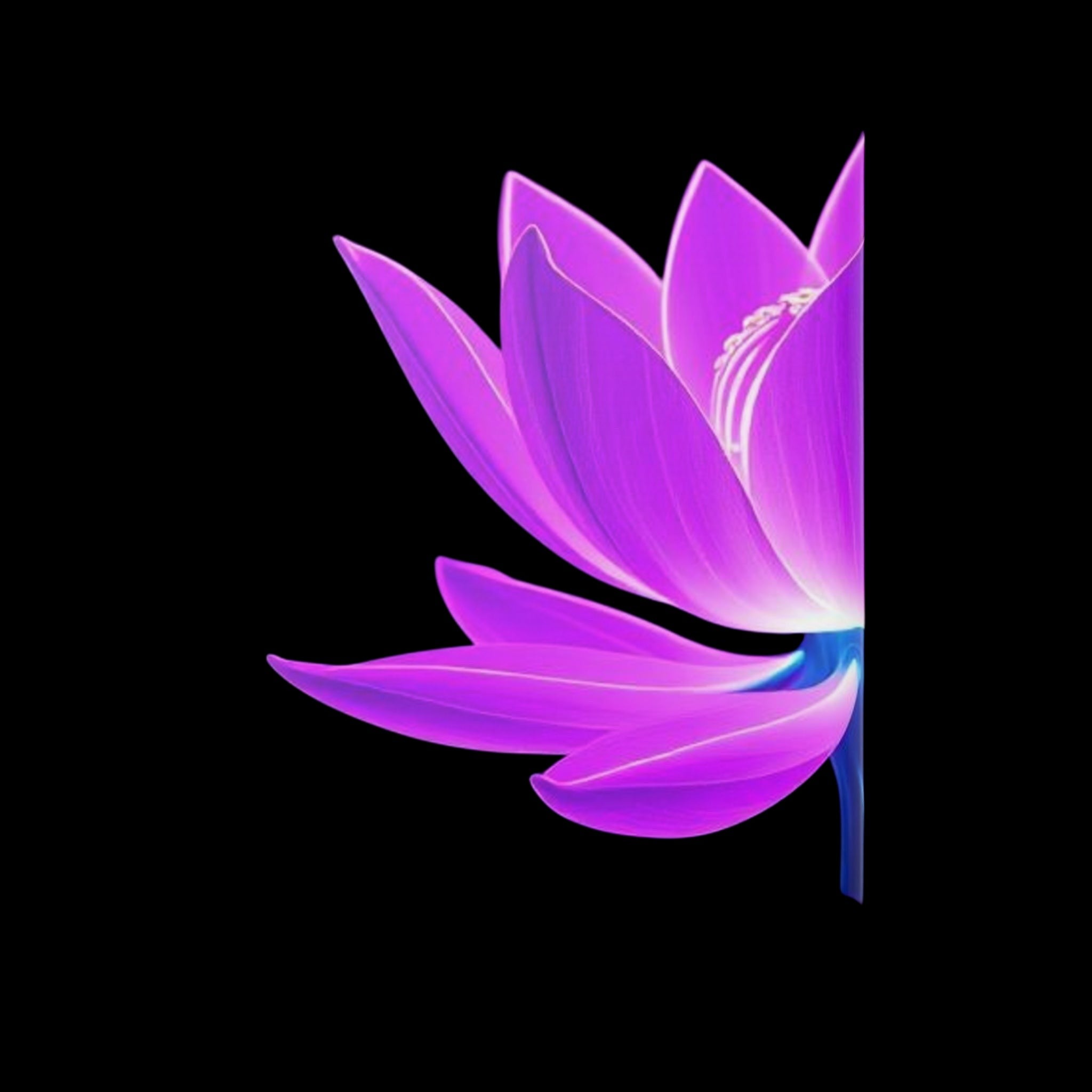 Royal Aura: Lotus Flower Hardcover Notebook with Puffy Covers by Printify