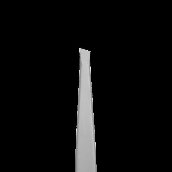 STALEKS BEAUTY & CARE 10 TYPE 3 EYEBROW TWEEZERS WIDE SLANT TBC-10/3 - STALEKS™ by kvadrat store