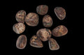 Green Leopardskin Jasper Tumbled Pocket Stone