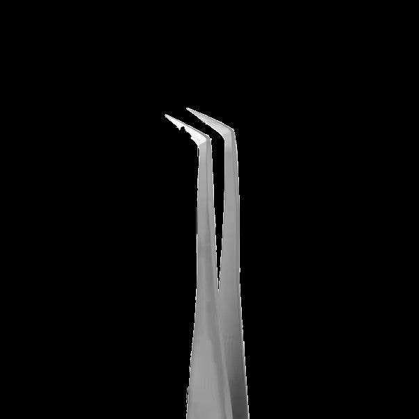 STALEKS PRO EXPERT 40 TYPE 2 PROFESSIONAL EYELASH TWEEZERS CURVED TE-40/2 - STALEKS™ by kvadrat store