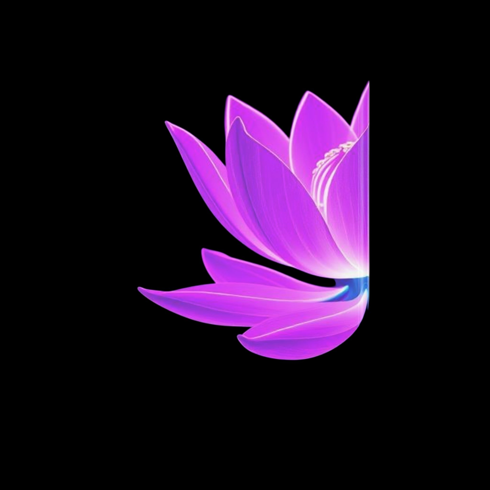 Royal Aura: Lotus Flower Hardcover Notebook with Puffy Covers by Printify