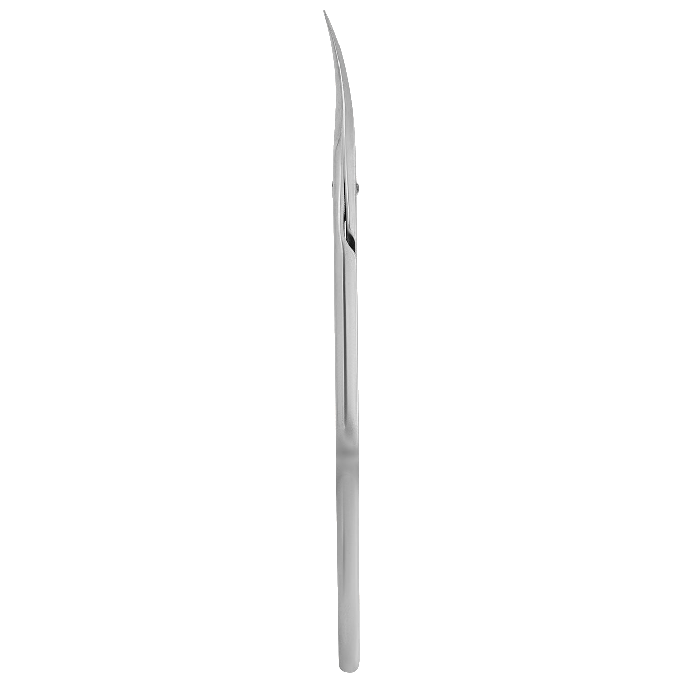 STALEKS PROFESSIONAL CUTICLE SCISSORS EXPERT 50 TYPE 2 SE-50/2- STALEKS™ by kvadrat store