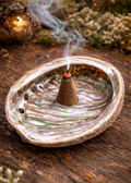 Abalone Shell -3"