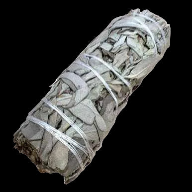White Sage Smudge Stick (4 in.) by Sacred Crystals