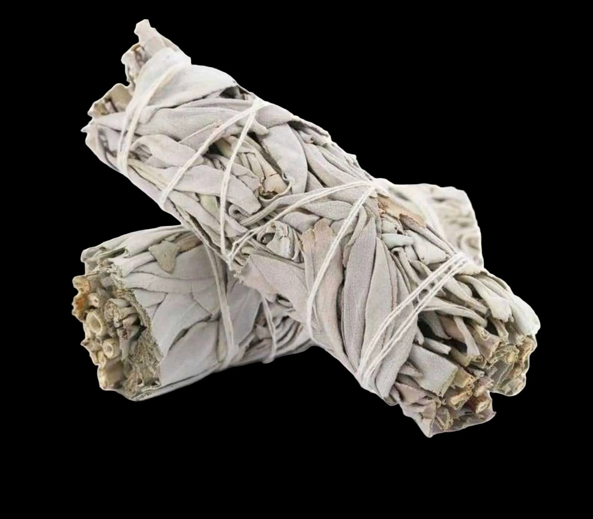 White Sage Smudge Stick (4 in.) by Sacred Crystals