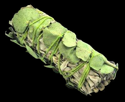 Eucalyptus with White Sage Smudge Stick (4 in.) by Sacred Crystals