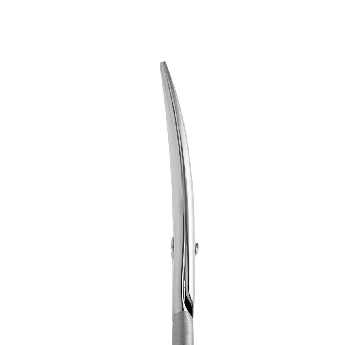 STALEKS PRO SMART 30 TYPE 1 NAIL SCISSORS SS-30/1 - STALEKS™
