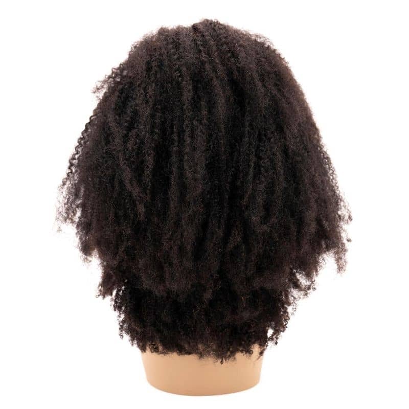 Afro Kinky Curly 4x4 Transparent Lace 100% Human Hair Closure Wig by Private Label
