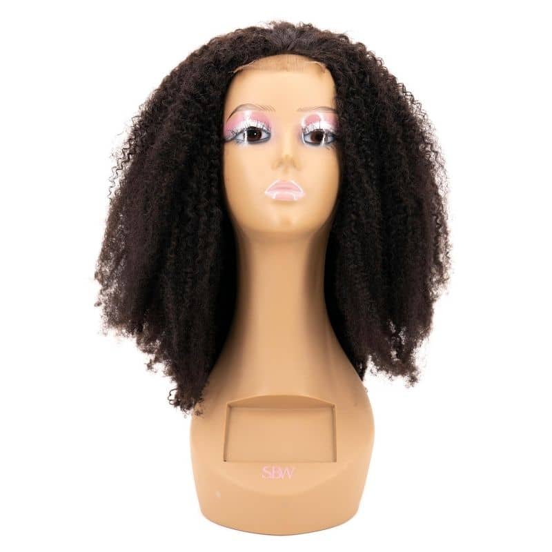 Afro Kinky Curly 4x4 Transparent Lace 100% Human Hair Closure Wig by Private Label