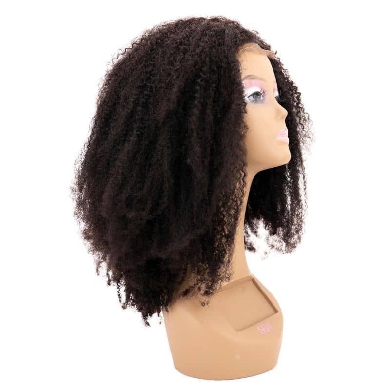 Afro Kinky Curly 4x4 Transparent Lace 100% Human Hair Closure Wig by Private Label