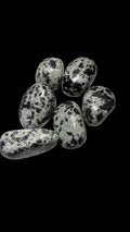 Greta Gabbro Tumbled Stone