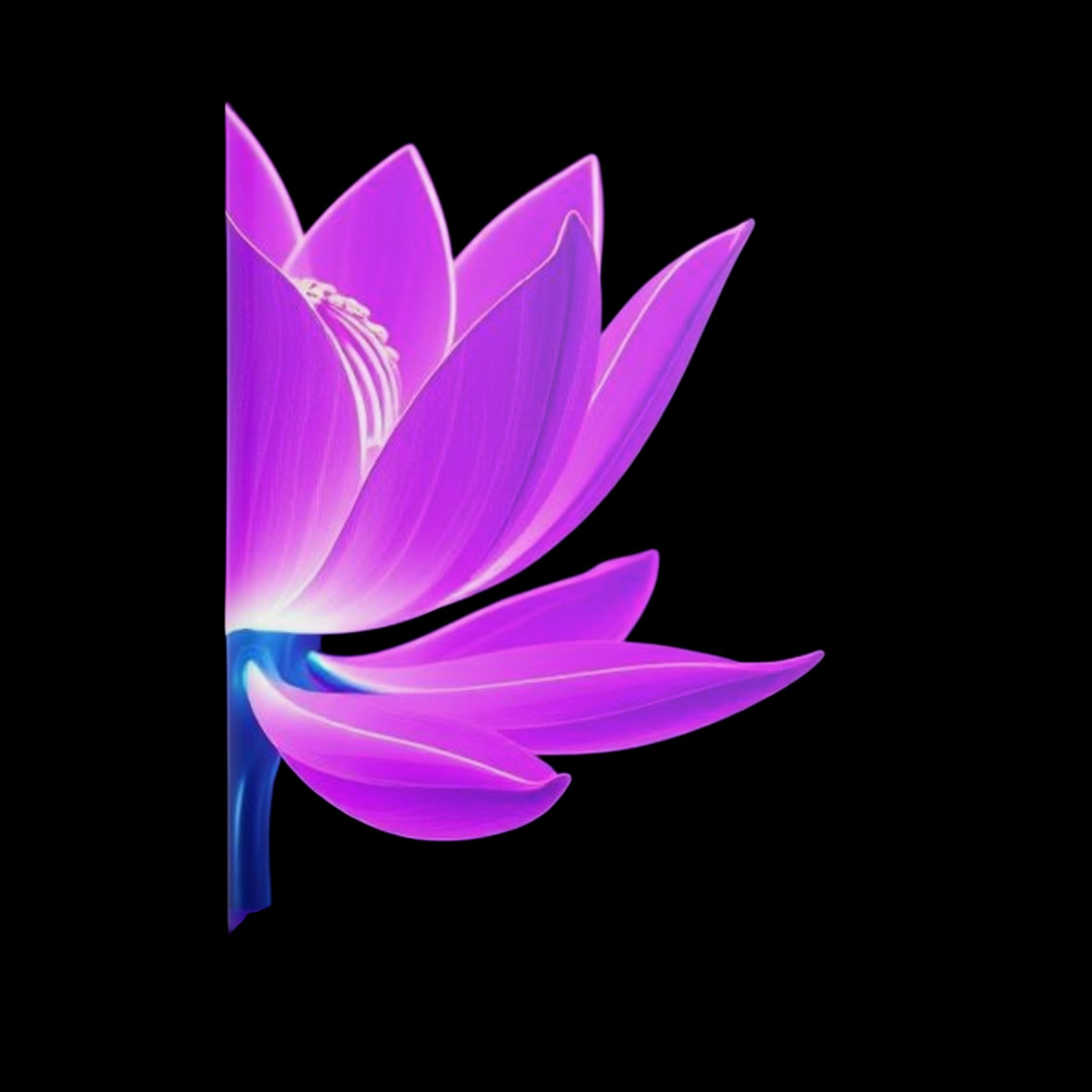 Royal Aura: Lotus Flower Hardcover Notebook with Puffy Covers by Printify