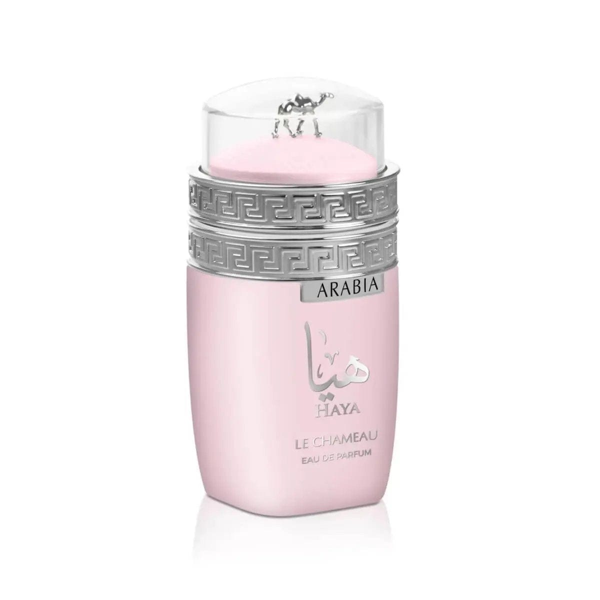 Arabia Haya By Le Chameau For Unisex 3.4oz EDP Spray by perfumesandrea