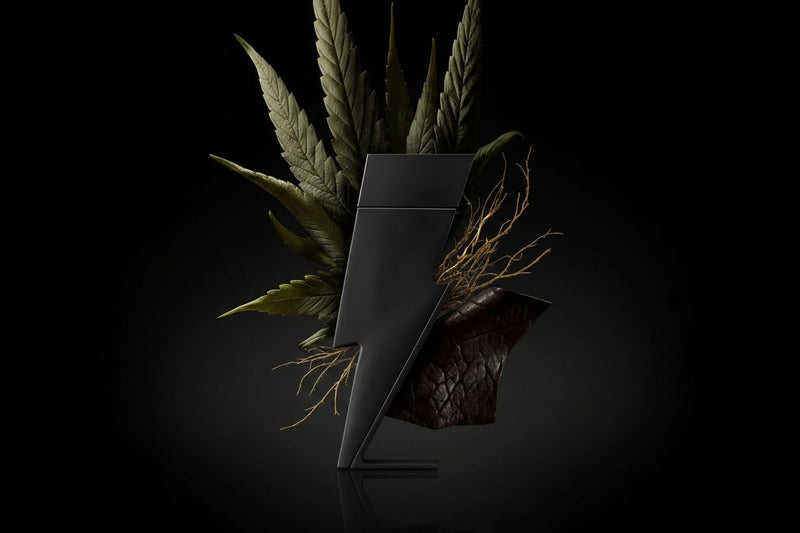 Bad Boy Parfum By Carolina Herrera For Men 1.7oz EDP Spray by perfumesandrea