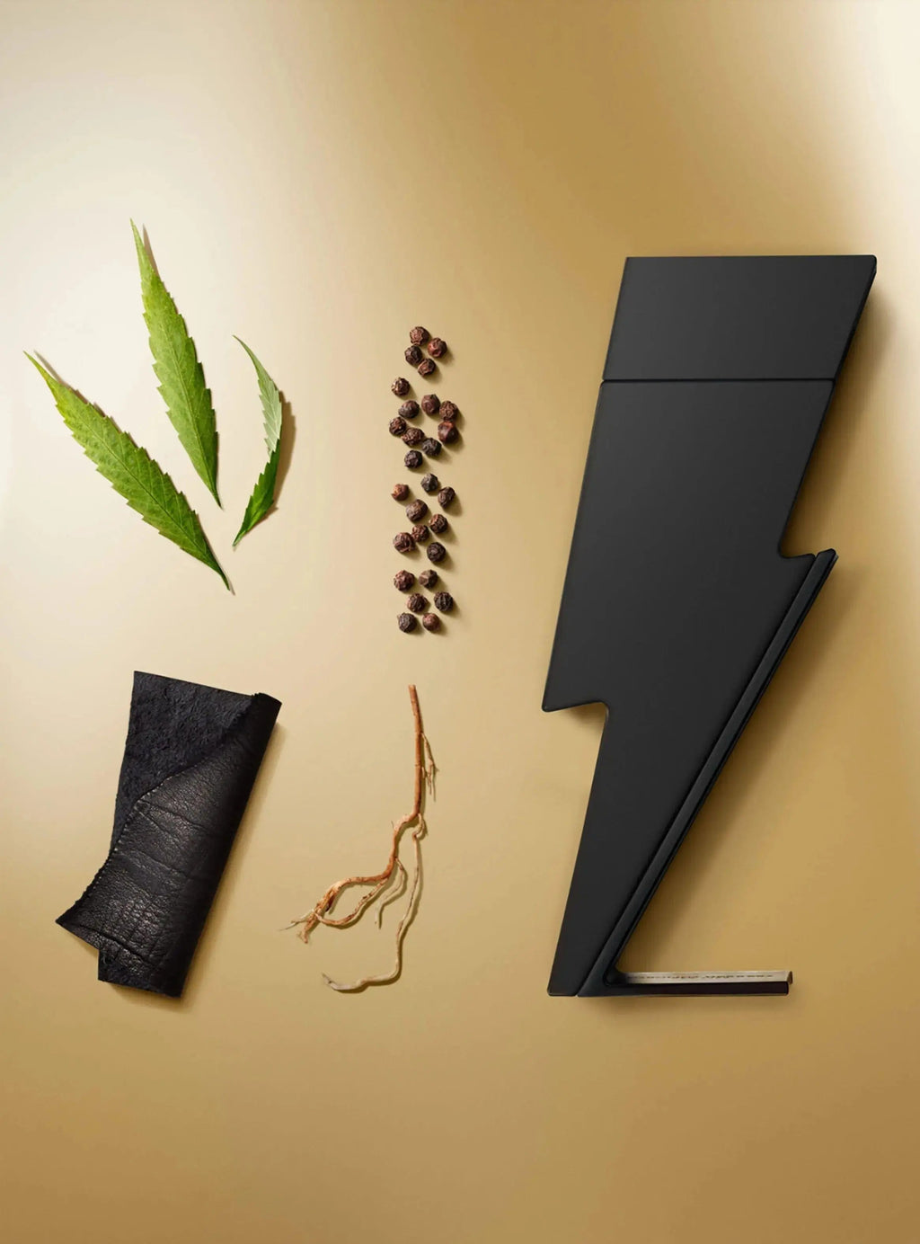 Bad Boy Le Parfum By Carolina Herrera For Men 5.1oz EDP Spray by perfumesandrea