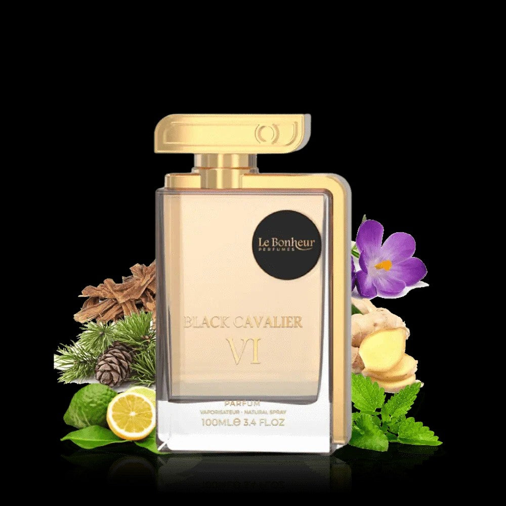 Black Cavalier VI By Le Bonheur For Men 3.4oz EDP Spray by perfumesandrea