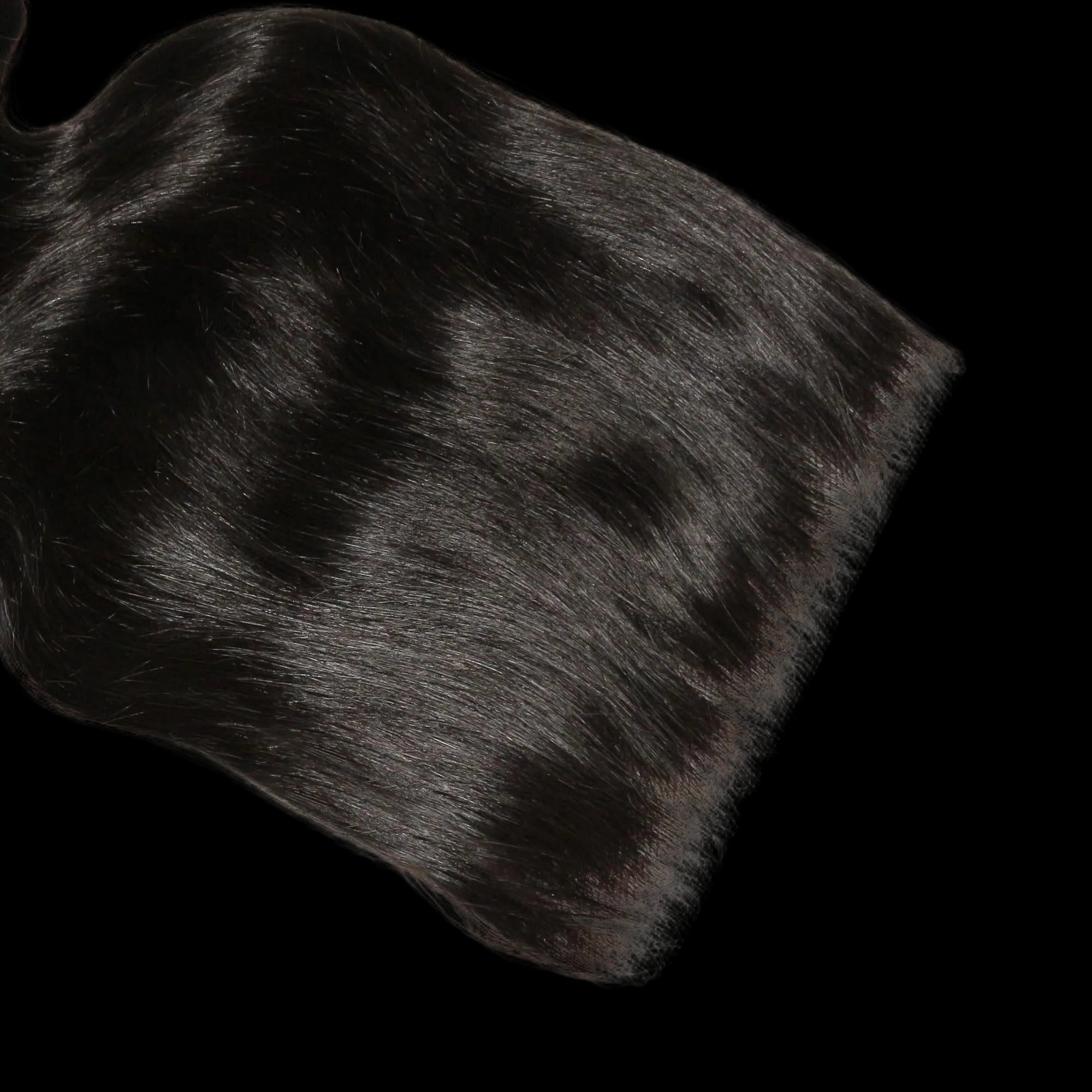 Body Wave 7x7 HD Lace Human Hair Closure by Private Label