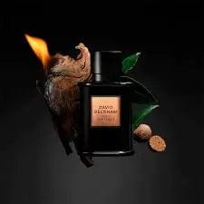 Bold Instinct by David Beckham for Men EDP 2.5 oz Spray by perfumesandrea