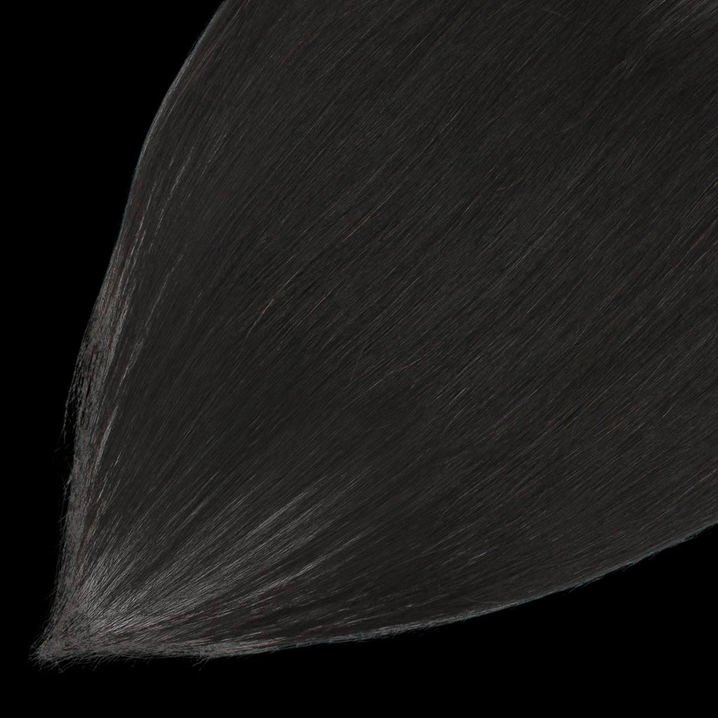 Brazilian Straight 13x4 HD Lace Human Hair Frontal by Private Label