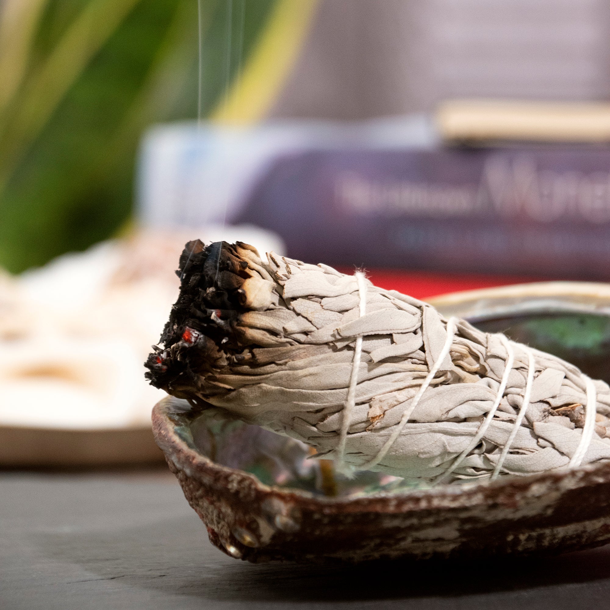 White Sage Smudge Sticks by Andaluca Home by VYSN