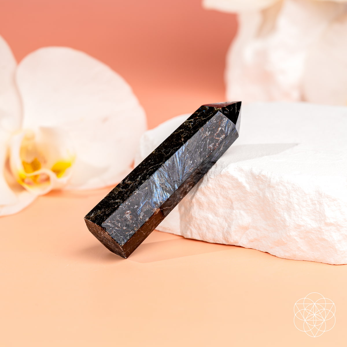 This Is Your Breakthrough – Rare Arfvedsonite Point by Conscious Items