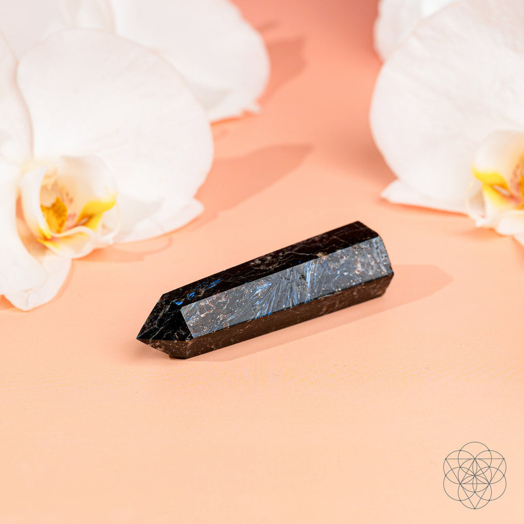 This Is Your Breakthrough – Rare Arfvedsonite Point by Conscious Items