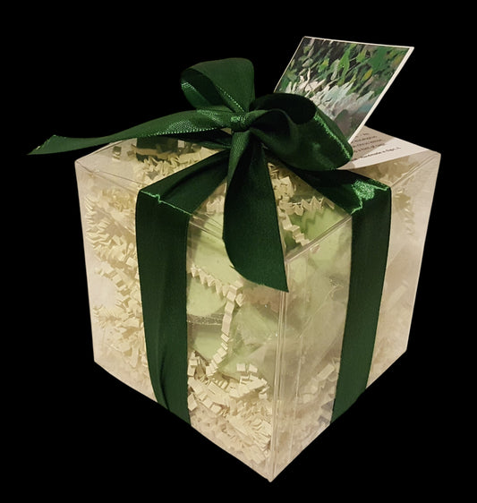 Eucalyptus & Spearmint 14-pack Bath Bomb Gift Set by Spa Pure