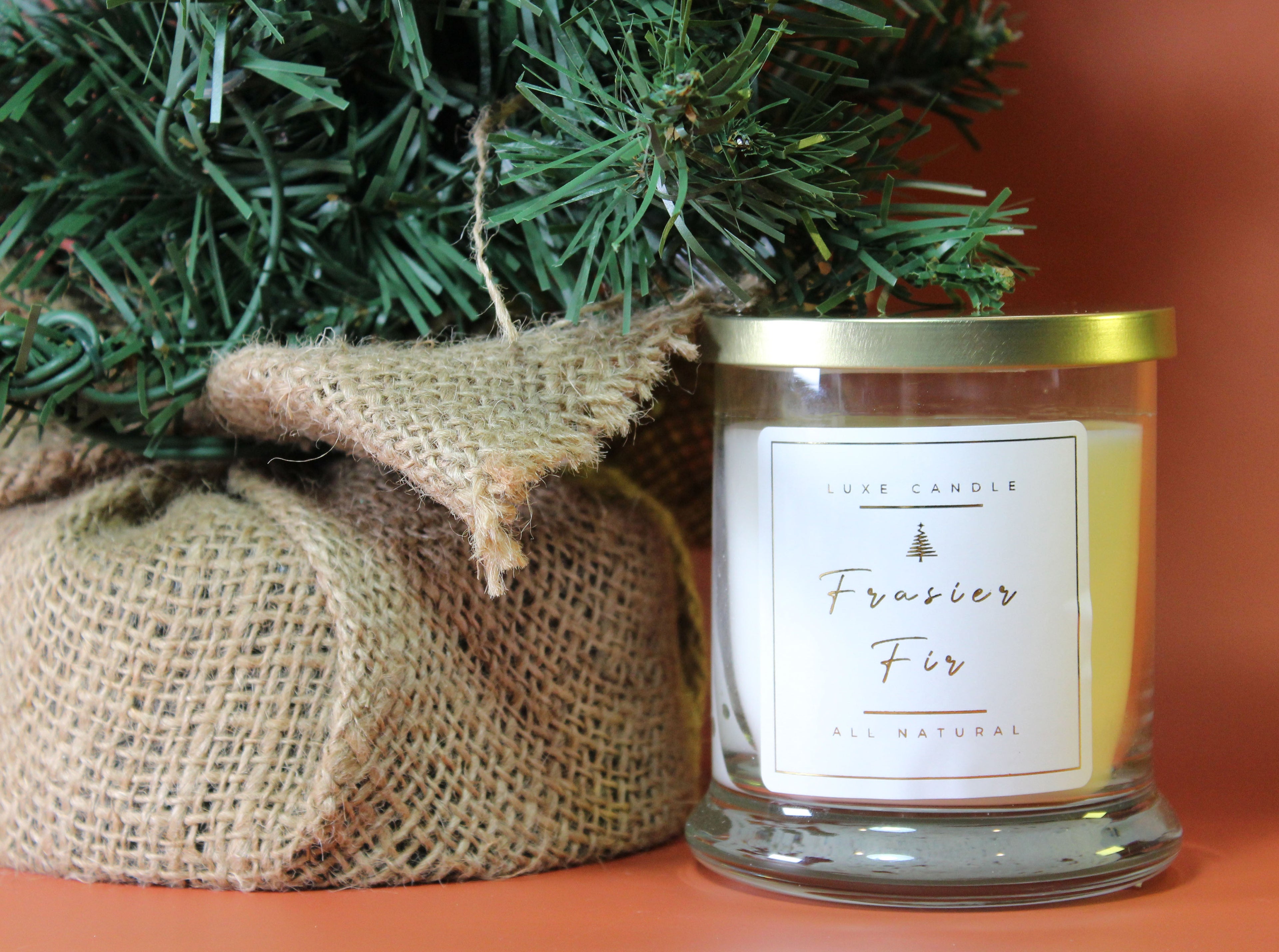 Frasier Fir • Luxe Natural Coconut Wax Candle by The Good Shaman