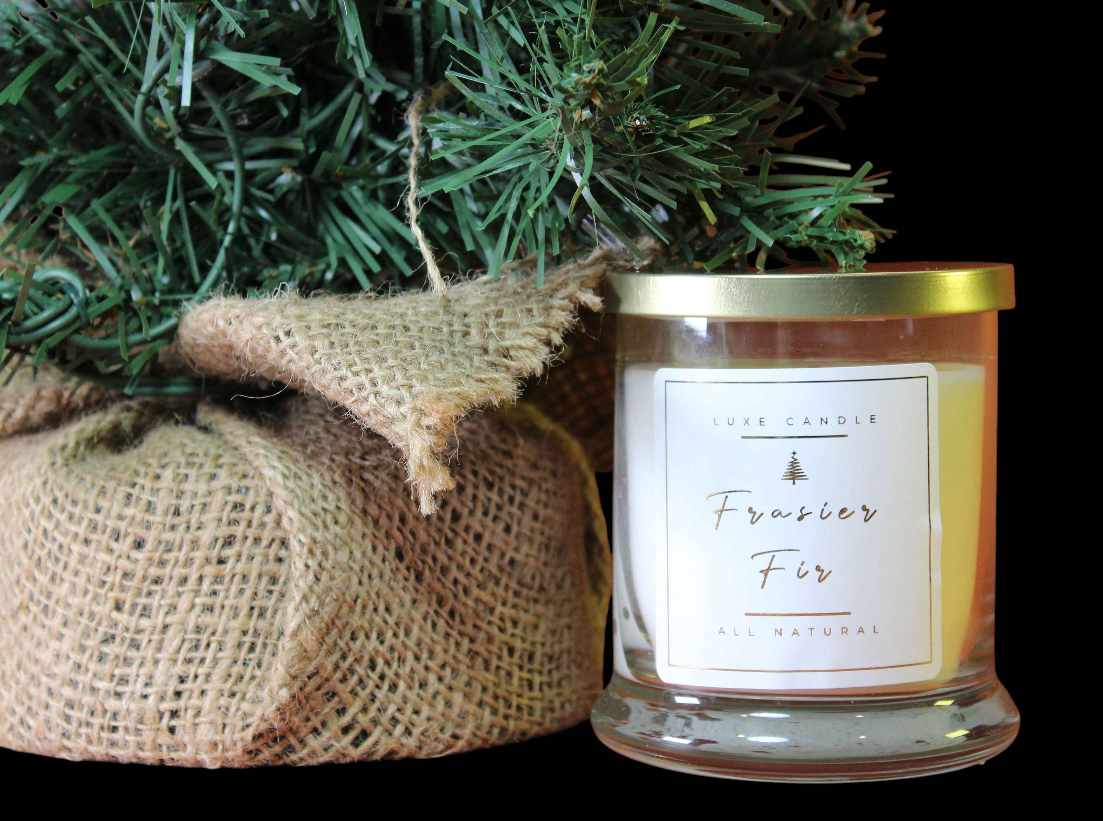 Frasier Fir • Luxe Natural Coconut Wax Candle by The Good Shaman