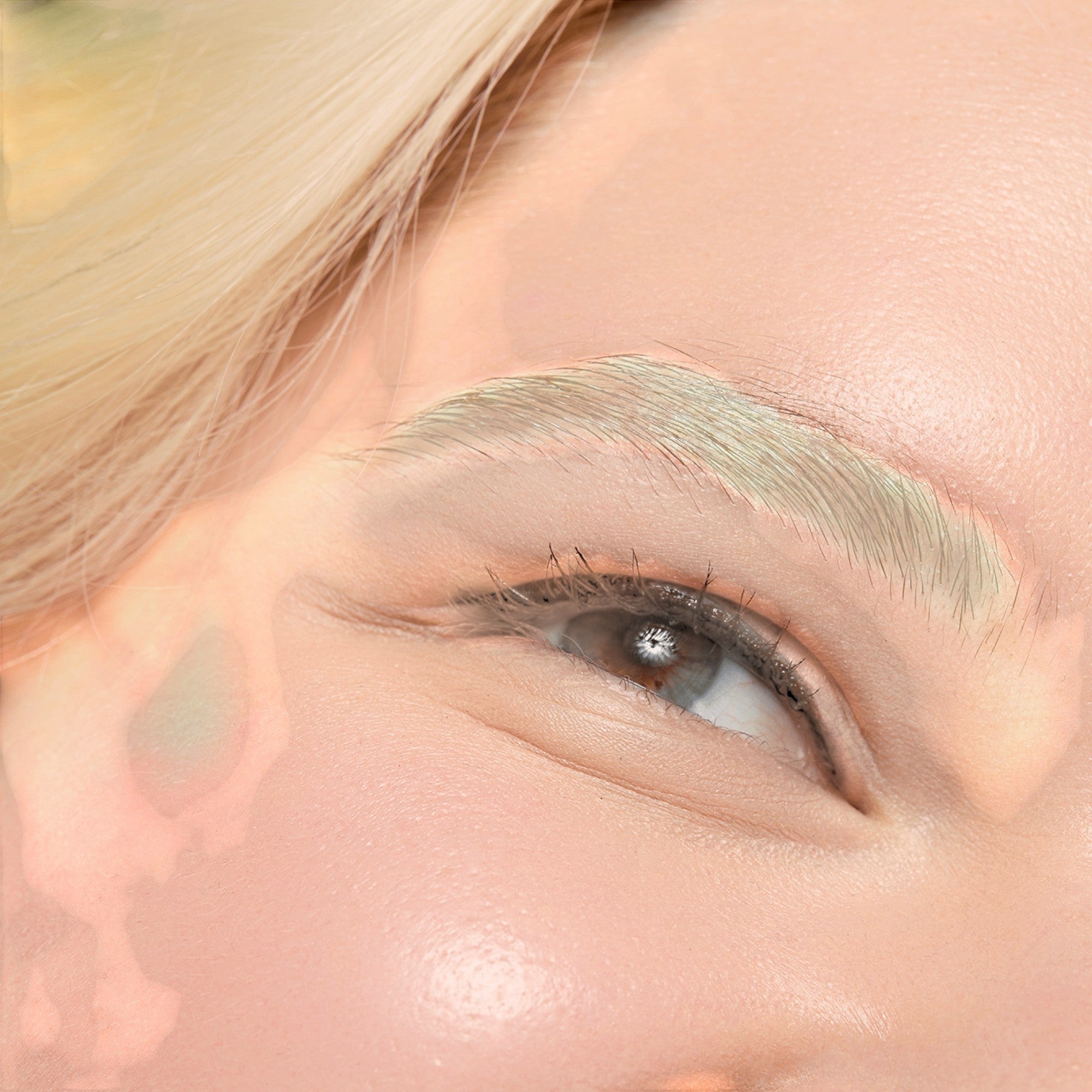 Brow Bar To Go®️- Blonde to Brunette by Gerard Cosmetics