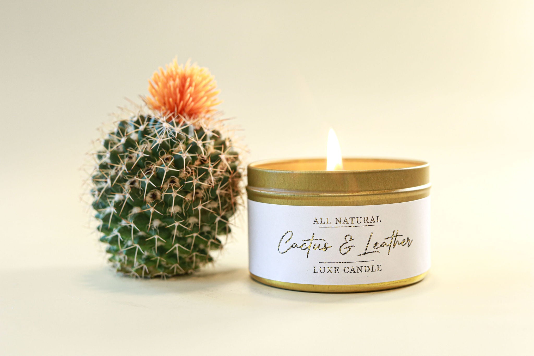Cactus & Leather Luxe Natural Coconut Wax Candle by The Good Shaman