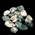 Tree Agate Tumbled Stone