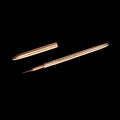 Signature 9mm Liner Brush by Painted Desert