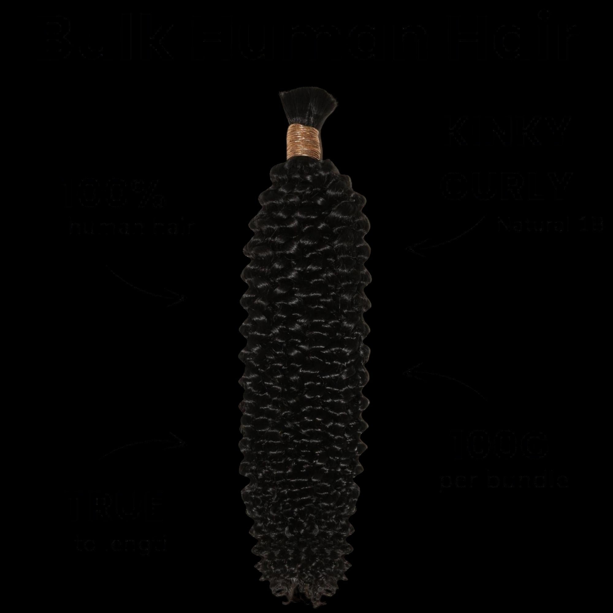 Kinky Curly Bulk 100% Human Braiding Hair by Private Label