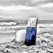 L´Eau Bleue D´Issey Pour Homme By Issey Miyake For Men 2.5oz EDT Spray by perfumesandrea