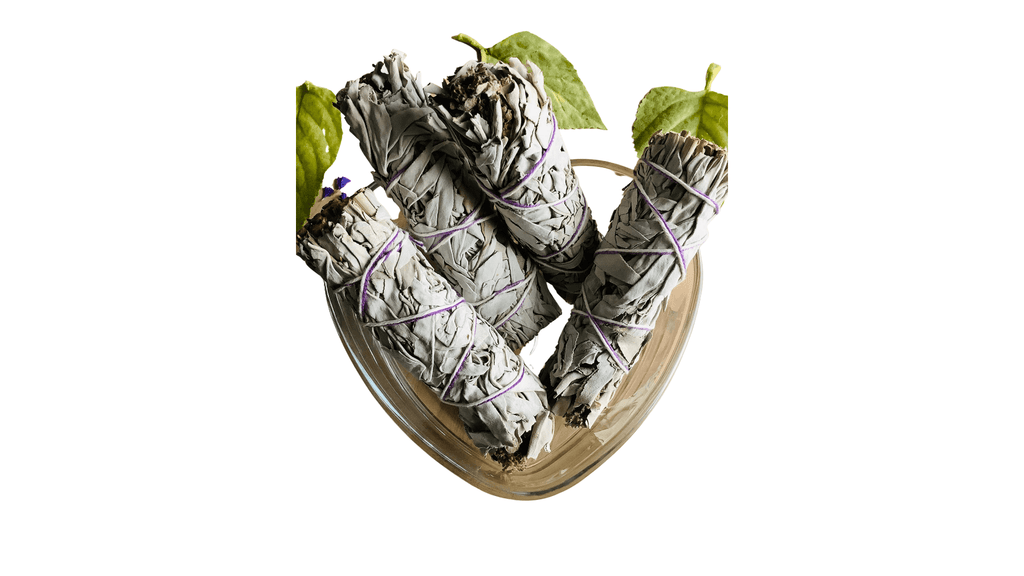 4" Sustainably Harvested - White Sage & Lavender by The Good Shaman
