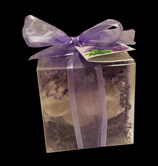 Lavender Mint 14-pack Bath Bomb Gift Set by Spa Pure