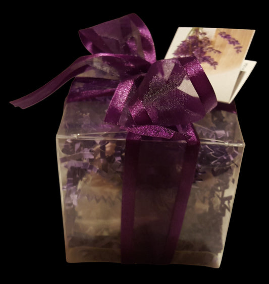 Lavender Vanilla 14-pack Bath Bomb Gift Set by Spa Pure