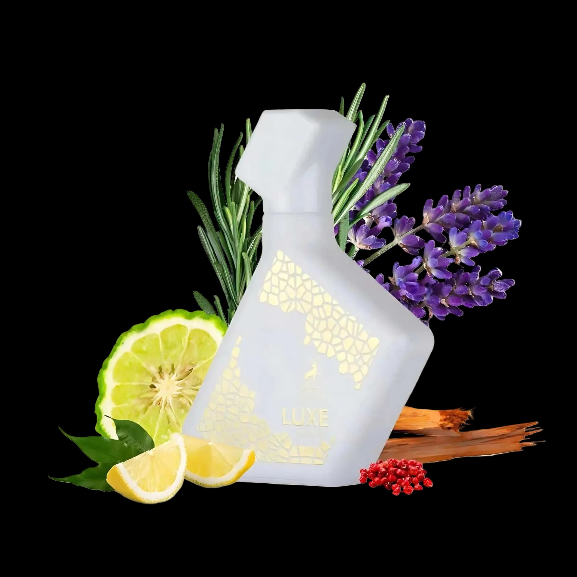 Luxe Blanc By Maison Alhambra For Men 3.4oz EDP Spray by perfumesandrea