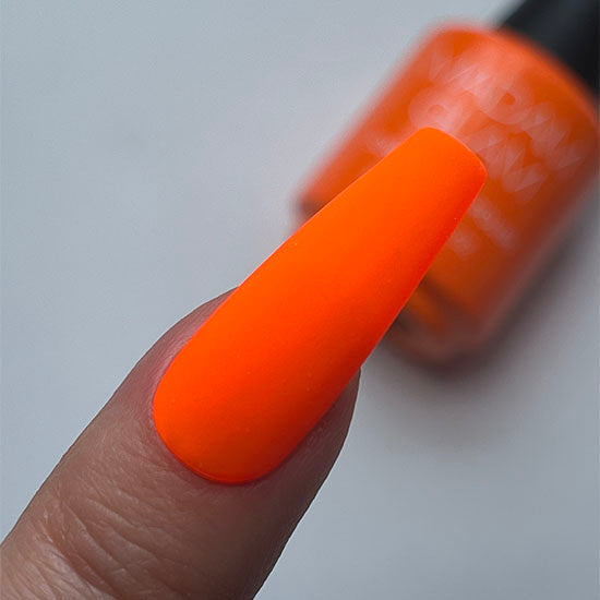 Empower by Madam Glam